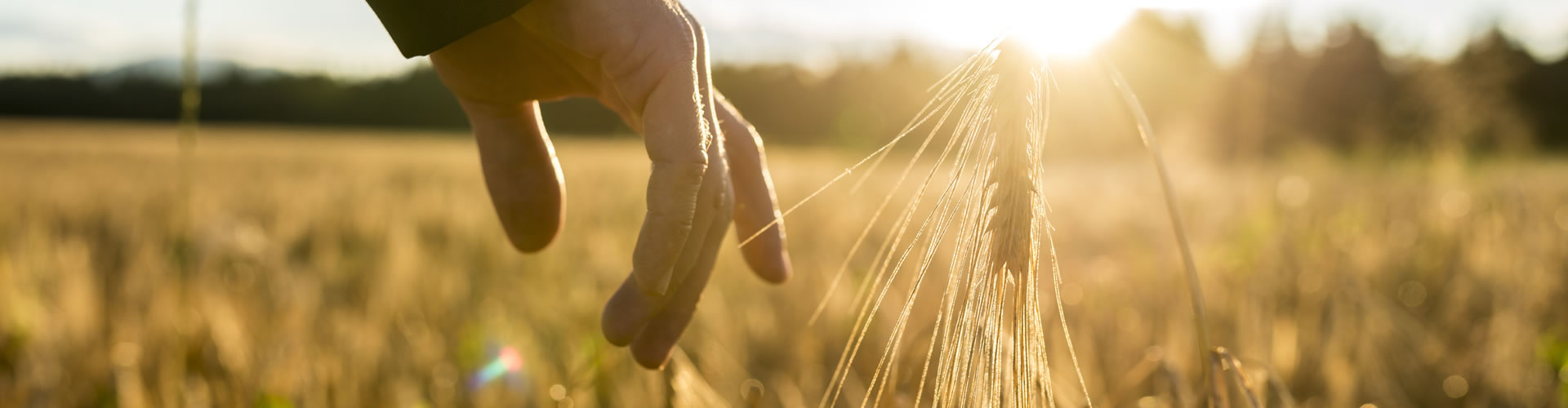 bauwens-nachhaltigkeit-slider